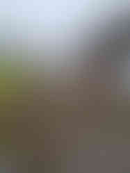 Mini driveway for motorcycle parking.