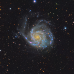 M 101 La Galaxia del Molinete