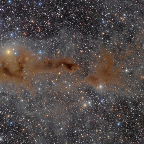 LDN 1250 Nebulosa Oscura En Cefeo