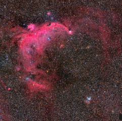 Nebulosa Gaviota y Caso de Thor