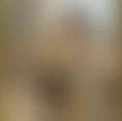 sello de François Champollion