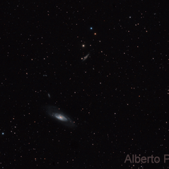 M106 y Compañía