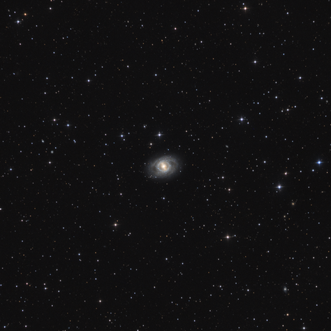 M95 and Some more Galaxies in Leo