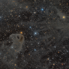 LBN 777 Nebulosa Baby Eagle