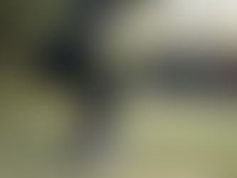 EJERCICIOS EFECTIVOS PARA REDUCIR EL ABDOMEN Y LA CINTURA