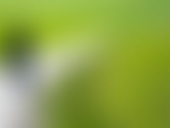 Cómo hacer para que el perro no se asuste con las mascarillas