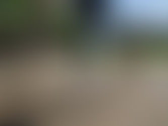 CINCO MILLONES DE MUERTES EN EL MUNDO CADA AÑO ESTÁN ASOCIADAS A LA FALTA DE ACTIVIDAD FÍSICA