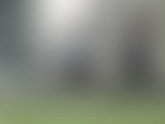 Qué actividades hacer con las mascotas durante la pandemia.