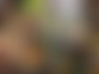 Más vegetales y menos carne en la cena puede reducir el riesgo de enfermedad cardiaca