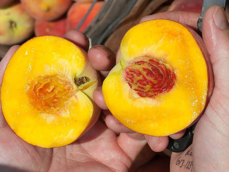 LOS BENEFICIOS DE COMER DURAZNO PARA TU SALUD