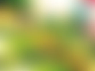 USOS QUE SE LE PODRÍAN DAR A LA CÁSCARA DE PLÁTANO ANTES DE TIRARLA