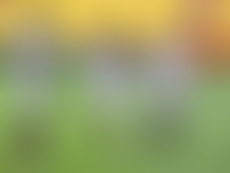 Fin a pausa de cinco meses; el fútbol se adapta y continúa en Ecuador.