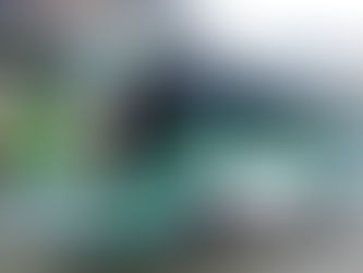 RUTAS VINCEÑAS AHORA VIAJAN A QUITO