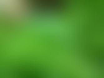 LO QUE LE SUCEDE A TU CUERPO SI COMES PEREJIL TODOS LOS DÍAS