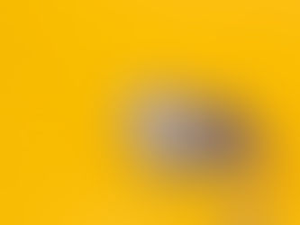 Los tres principios básicos para adelgazar y bajar de peso