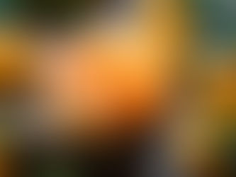 QUÉ ENFERMEDADES AYUDA A PREVENIR COMER MANDARINA TODOS LOS DÍAS