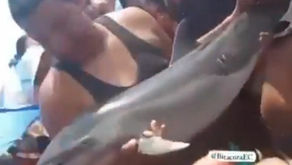 LA MUERT3 DE UN DELFÍN EN PUERTO LÓPEZ CAUSA INDIGNACIÓN