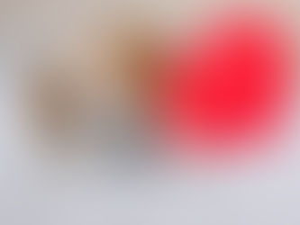 El perro, verdadero amigo de la salud del cerebro y del corazón