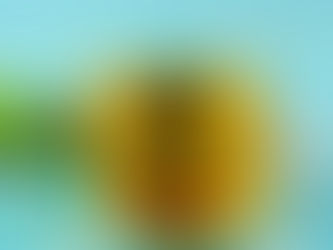 ¿PARA QUÉ SIRVE EL TÉ DE ALBAHACA?