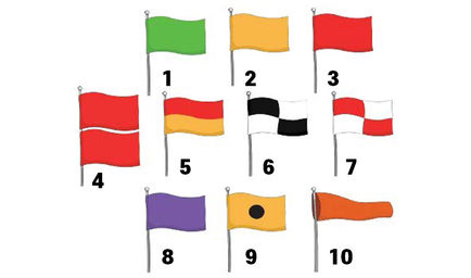 해변의 깃발 종류