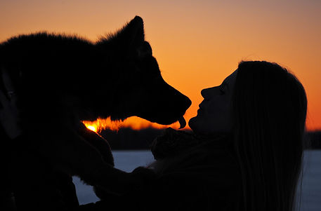 Silhouette of girl with german shepherd
