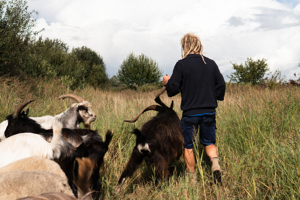 Geitenhouderij ter Veen