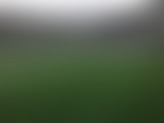 9月15日(土) 第17回コパブラジルキッズフットサルU12大会