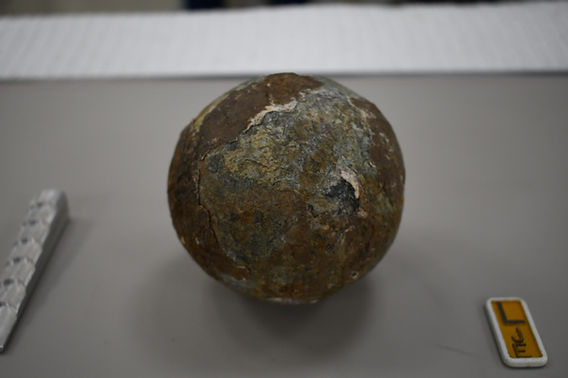 Cannonballs and pig skulls