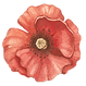 flower_2_edited.png