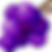 grape (1).png