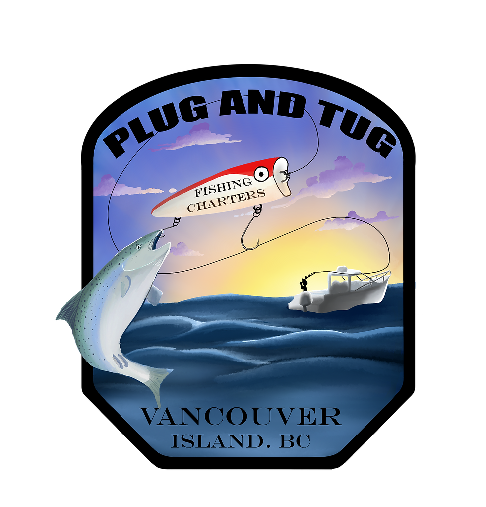 Plug and tug v6.png