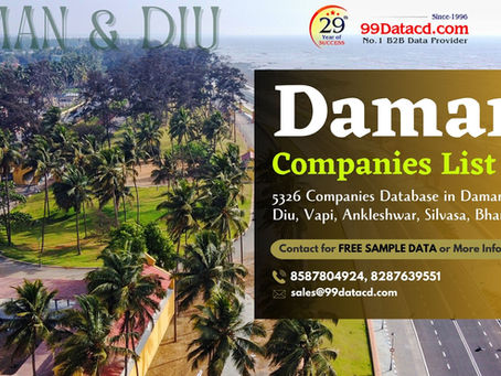 Daman companies list