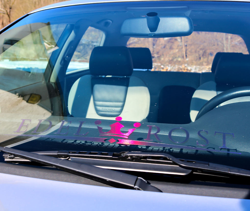 Miniaturbild: Edelrost Tuningsticker Autoaufkleber Hologramm Frontscheibenaufkleber Holographic Effekt