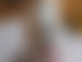 新入生🐶ご紹介