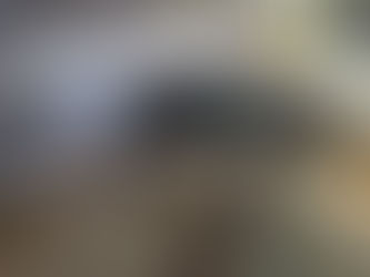 ネロ、預りさまが見つかりました