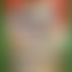 今月のご家族募集🐕️🐈️