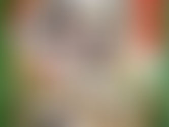 今月のご家族募集🐕️🐈️