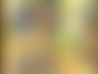 🎃今月のご家族募集です