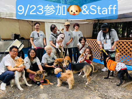 譲渡会無事終了🪷御礼