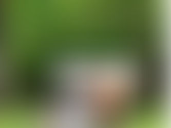 ネクストゴールについて