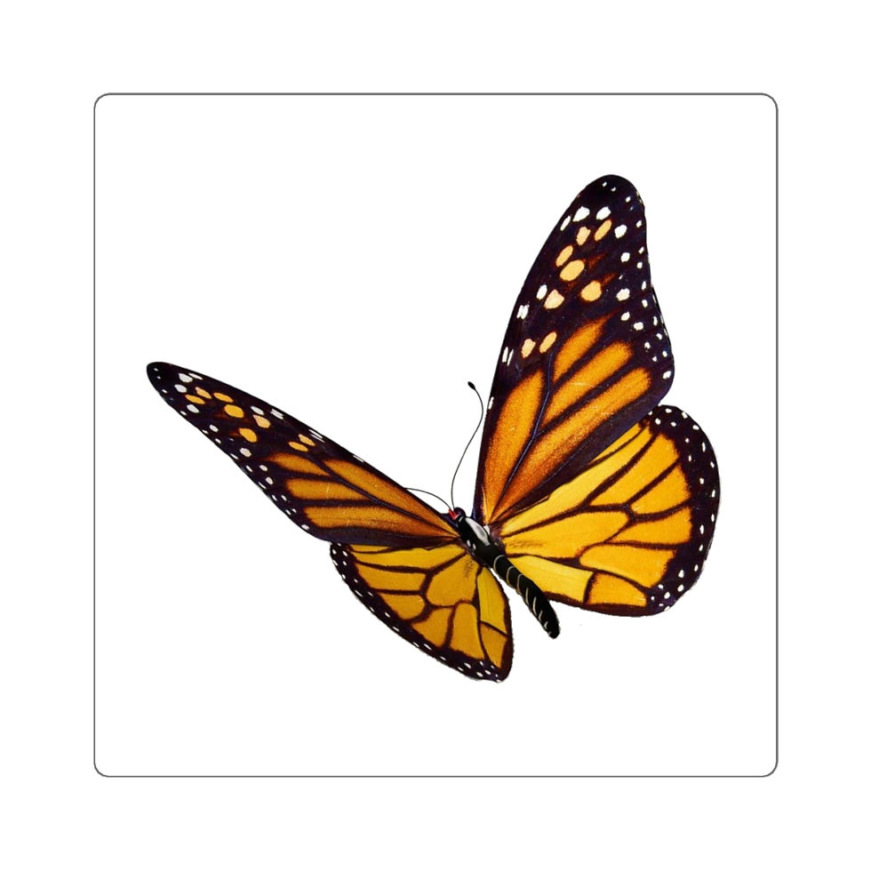 Thumbnail: UM Butterfly Stickers