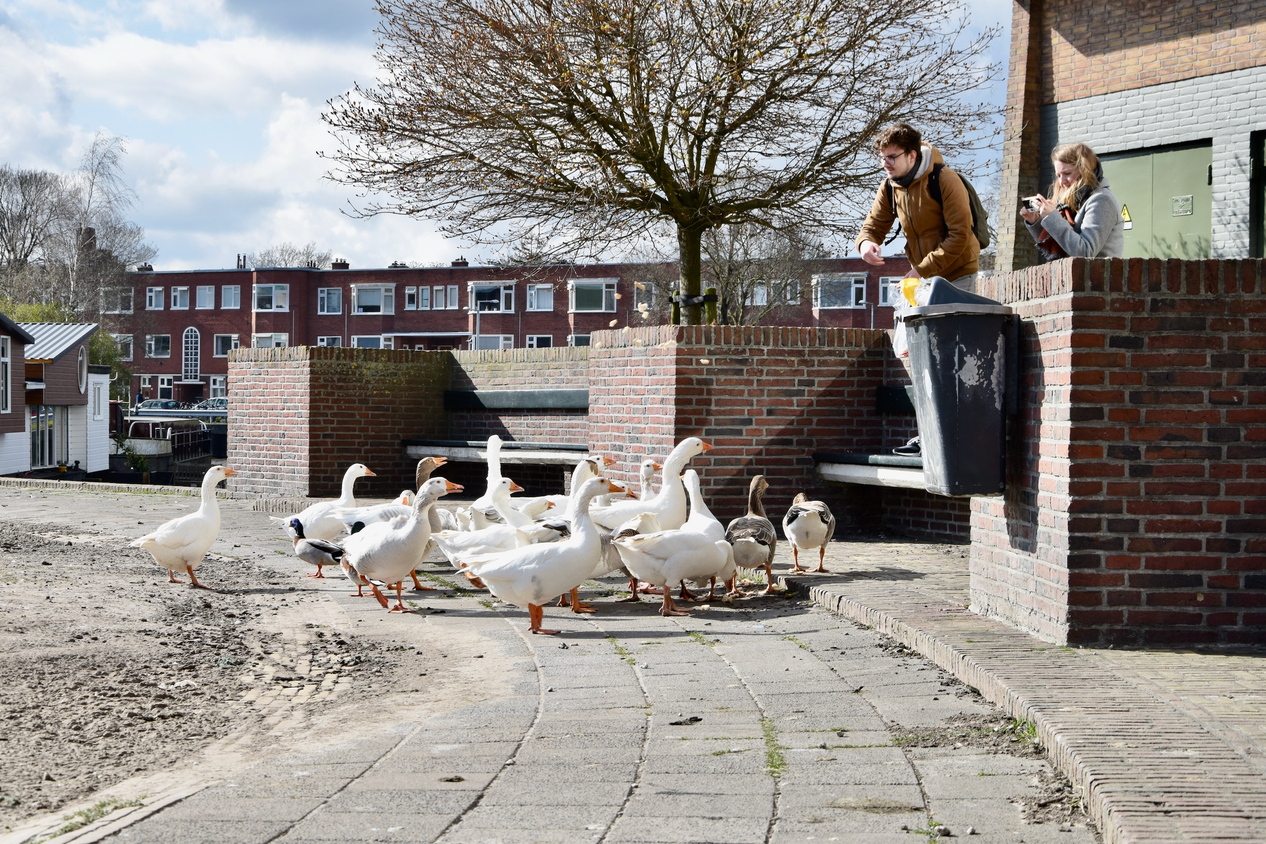 frans_geubel_mei2020 (3)