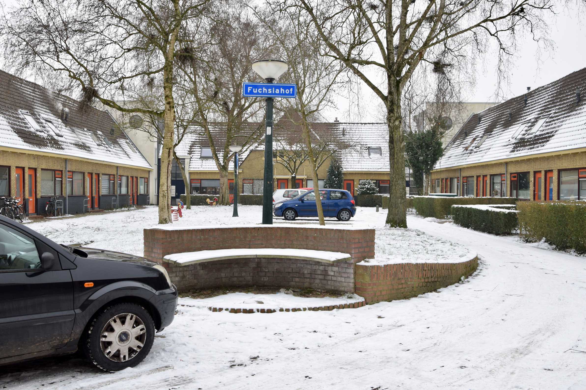frans_geubel_2019_jan_febr (16)