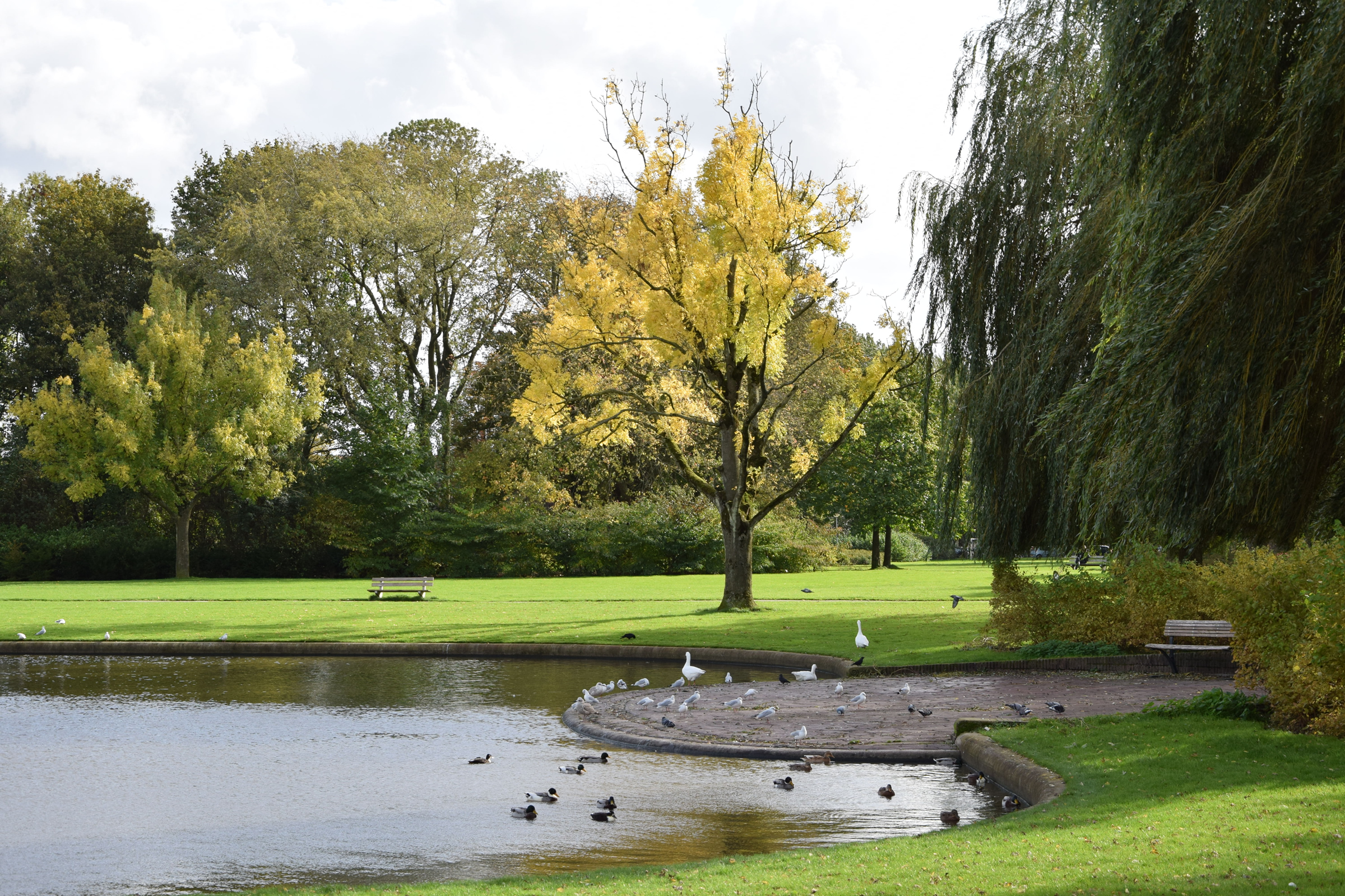 oosterpark_frans_geubel (53)