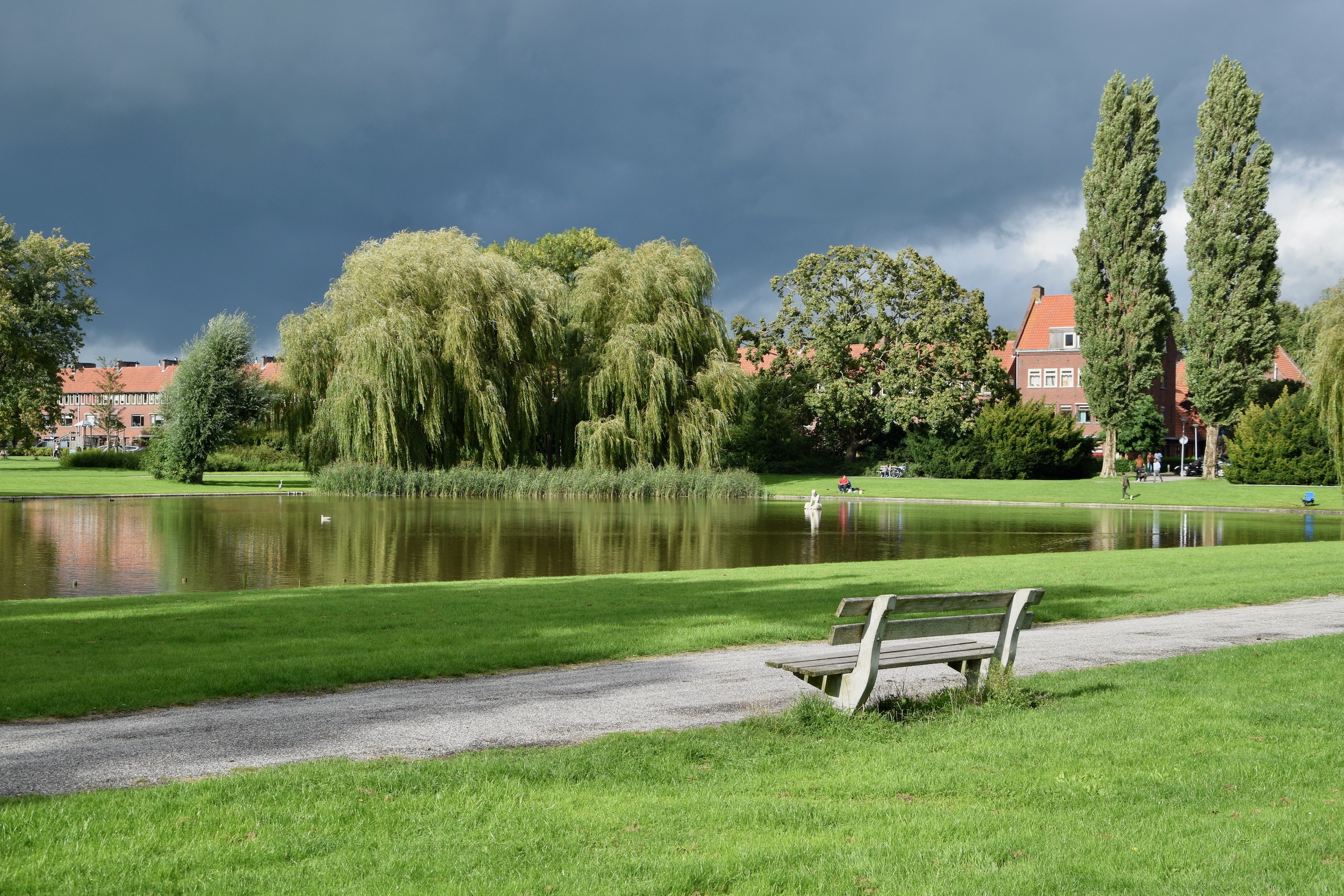 frans_geubel_sept2020 (5)