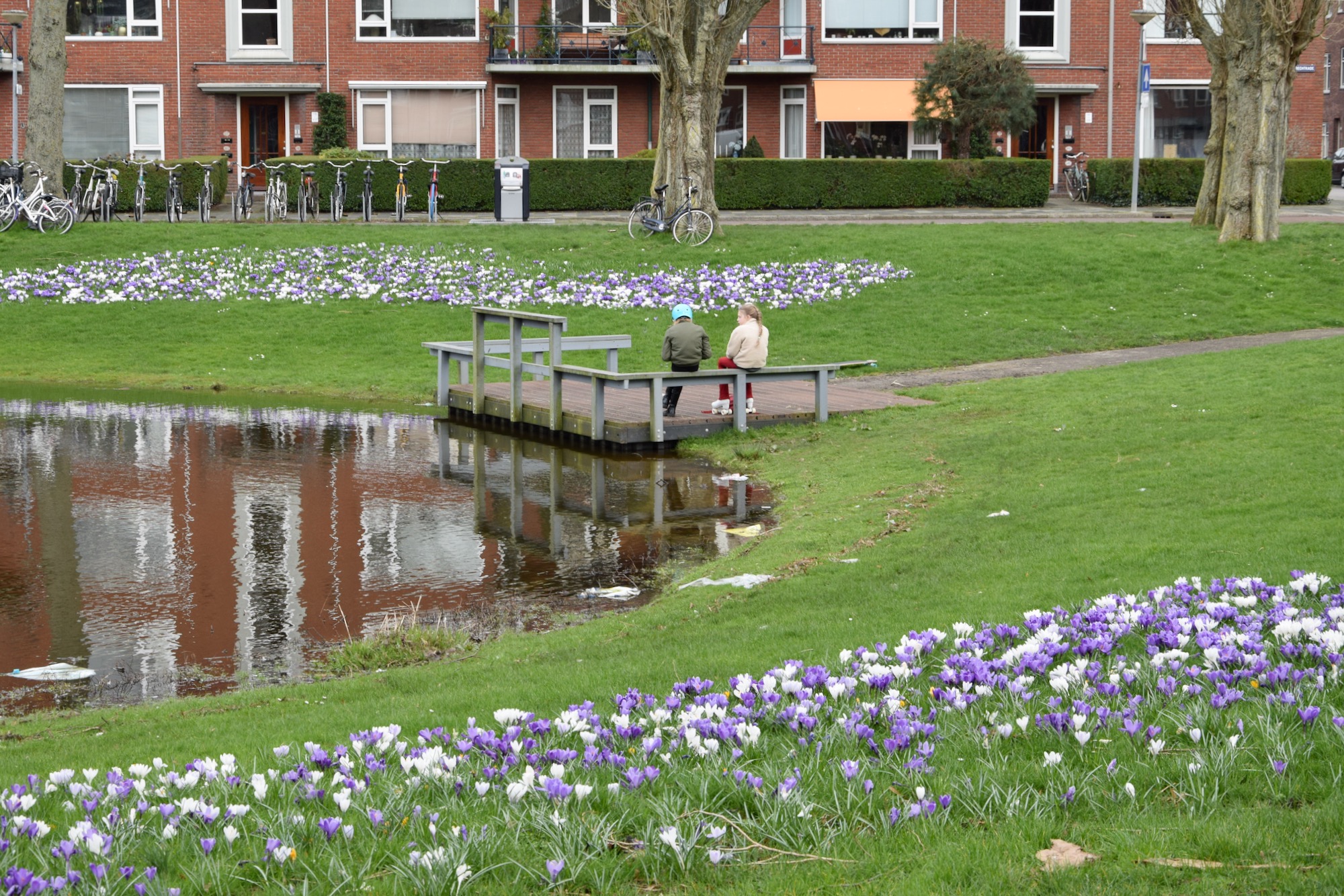 frans_geubel_mrt2020 (8)