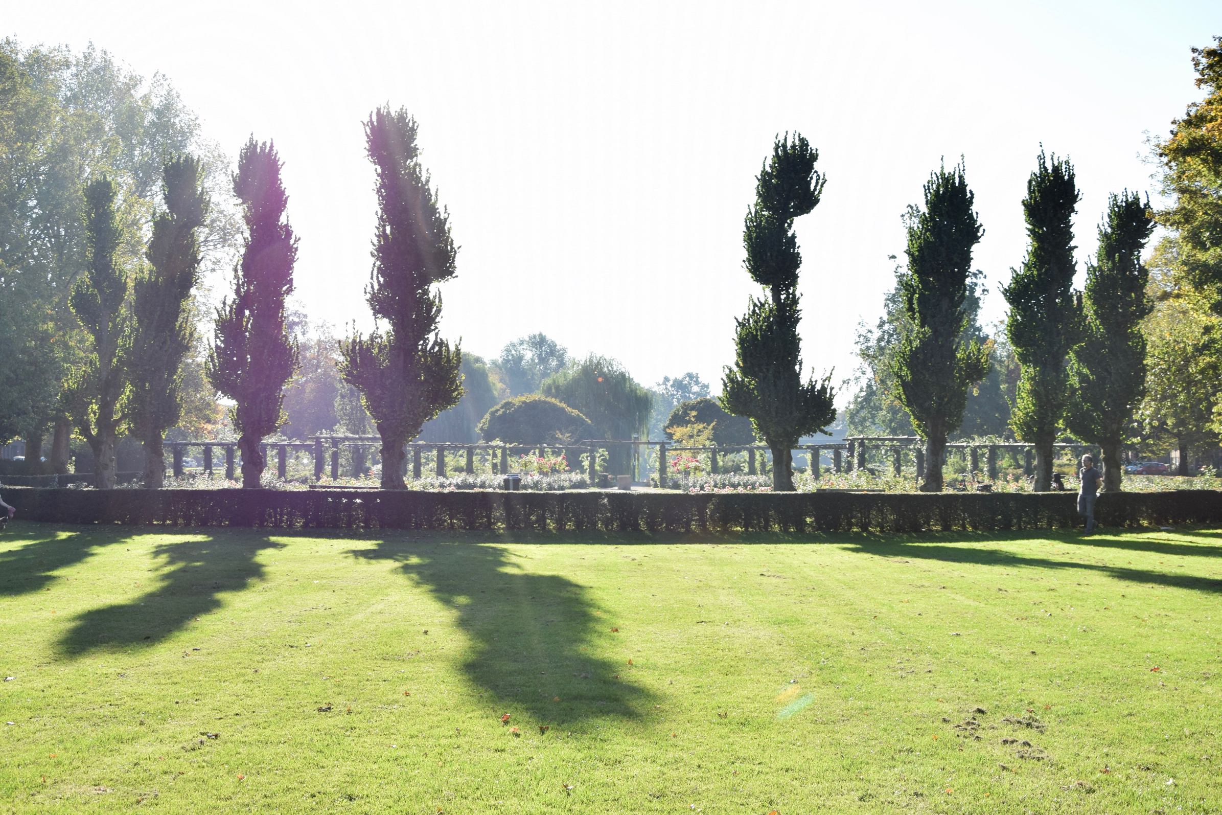 oosterpark_frans_geubel (94)