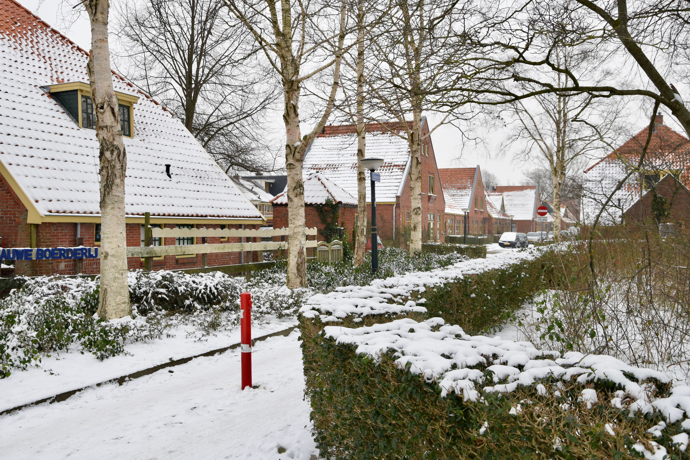 frans_geubel_2019_jan_febr (10)