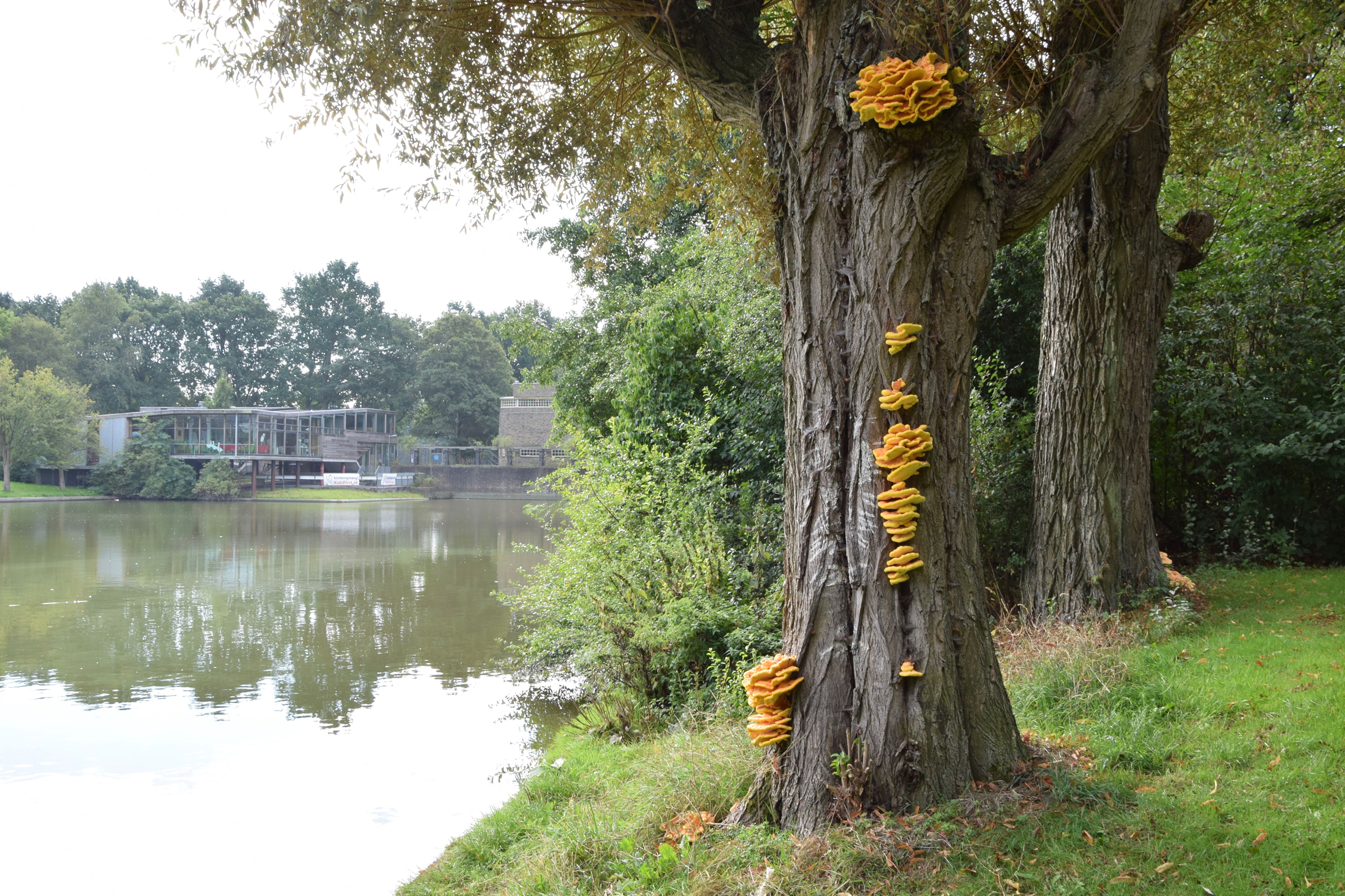 oosterpark_frans_geubel (4)