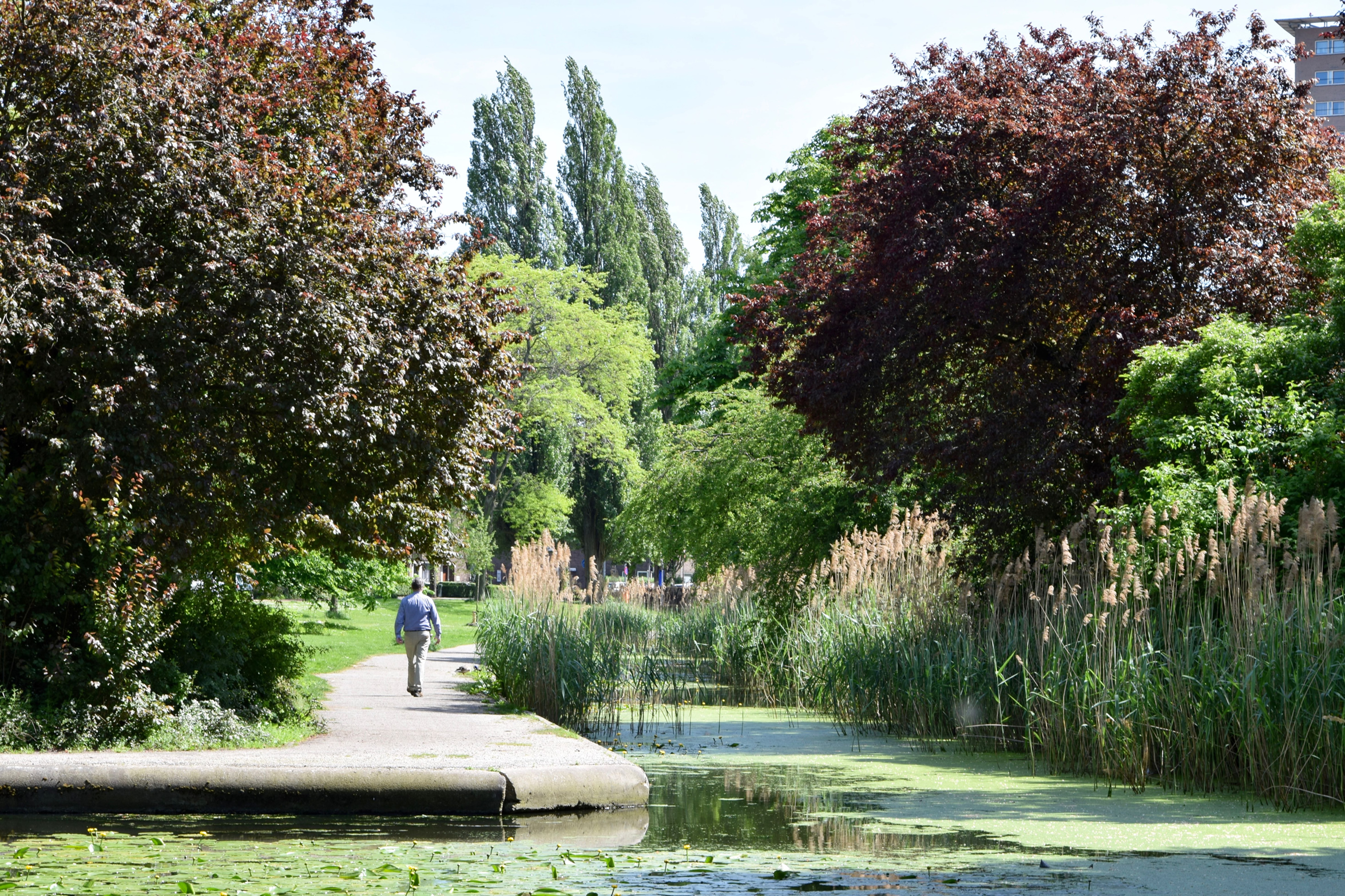 oosterpark_frans_geubel (135)